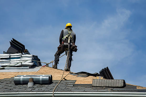 Professional Roofing technician working in Elm City, NC